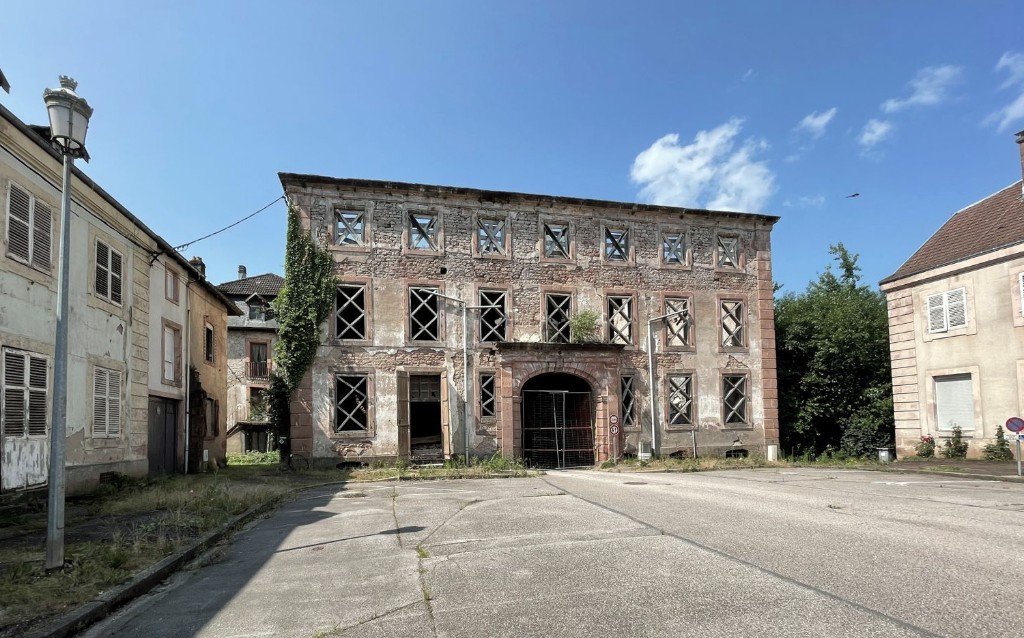 Château des Princes de Salm